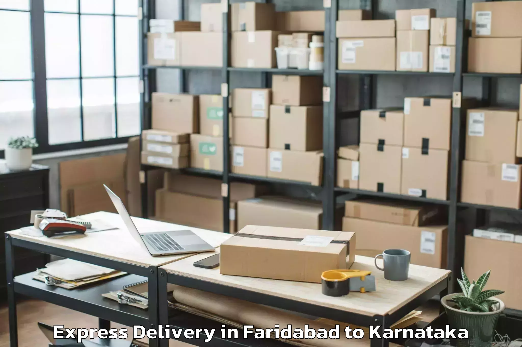 Discover Faridabad to Davangere University Davangere Express Delivery